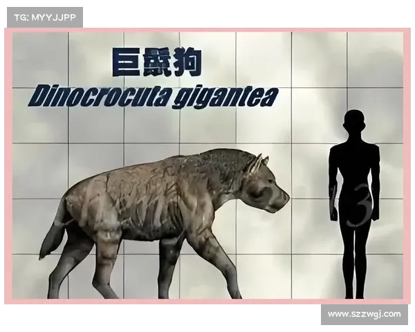 探秘古老文明中的神秘生物及其背后的传说与科学探索