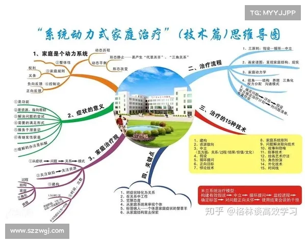 网络探索过程中可借鉴的高效信息获取与思维拓展技巧研究