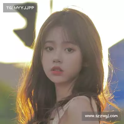 何鹰辉